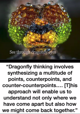 Dragonfly Thinking